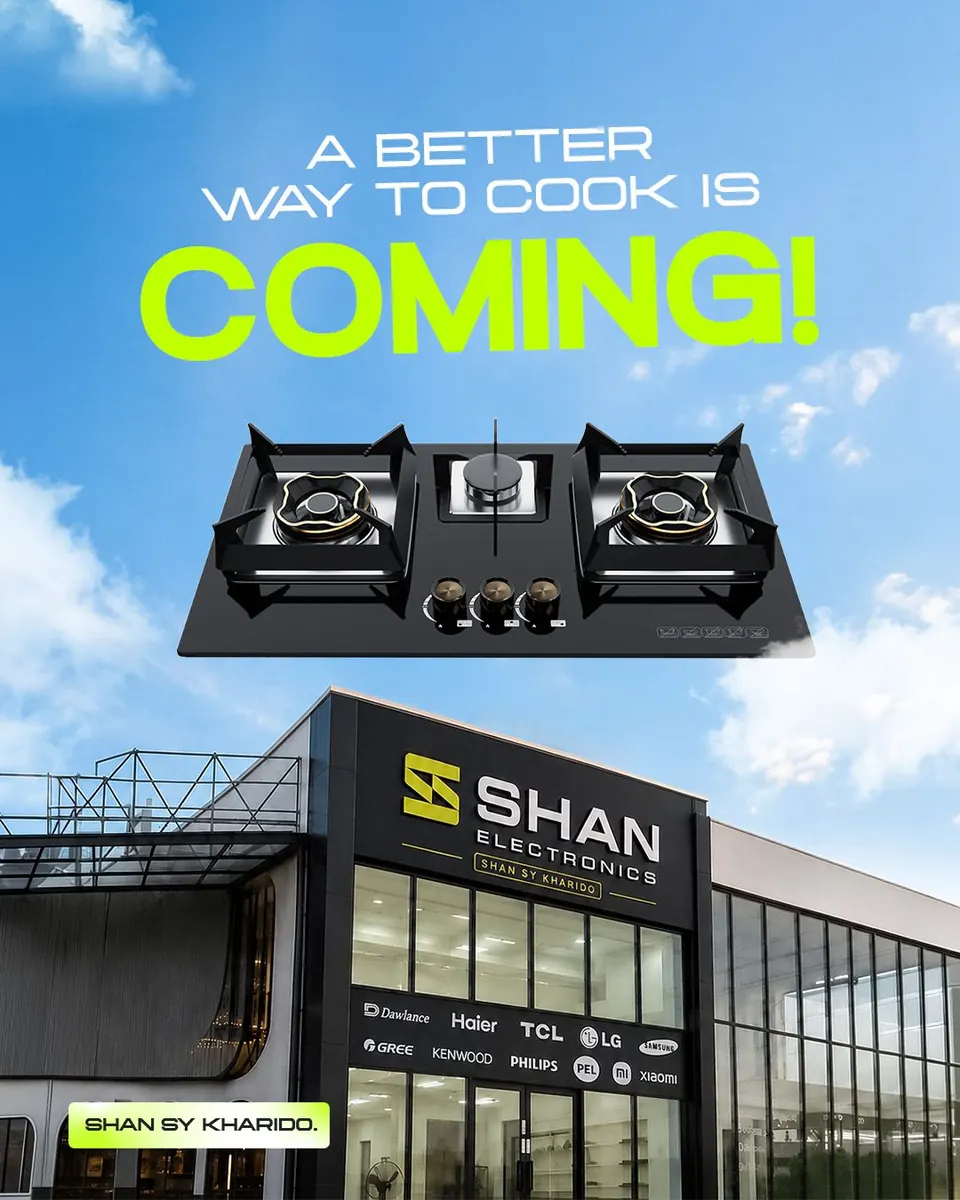 Shan Electronics work 30