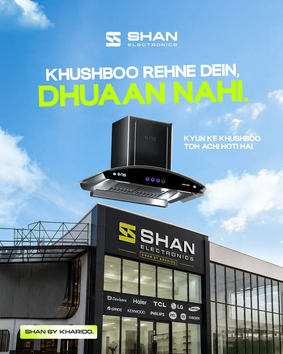 Shan Electronics work 35
