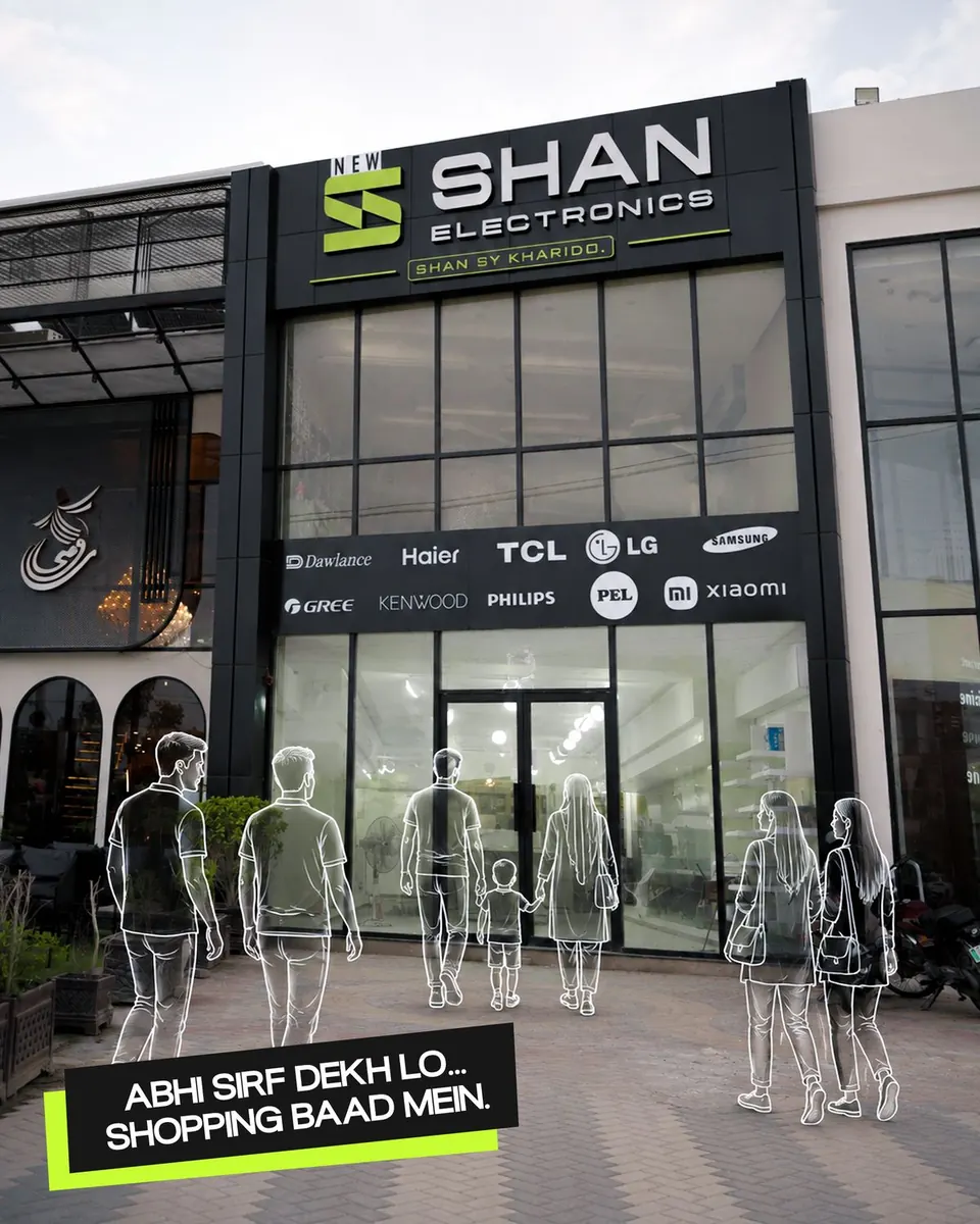 Shan Electronics work 16