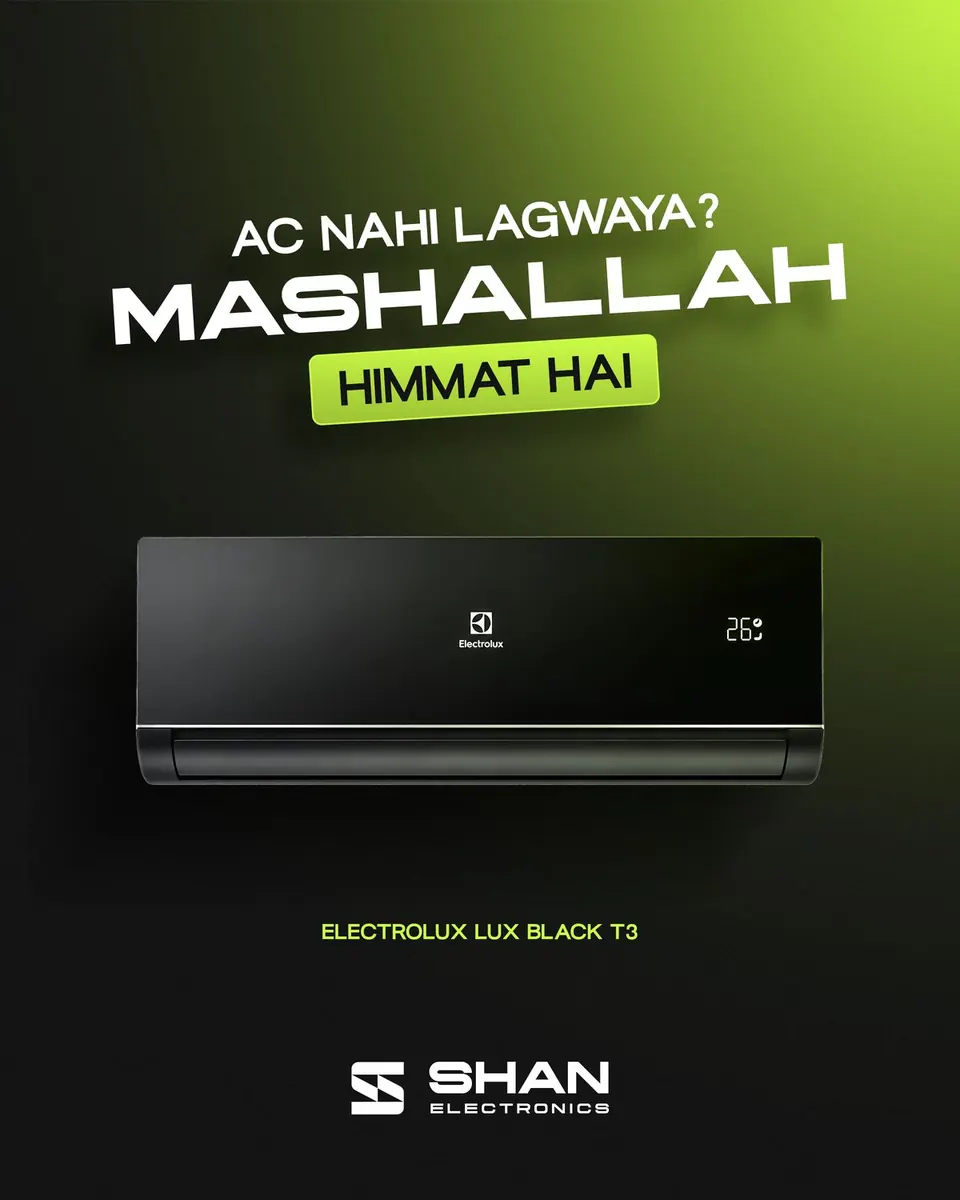 Shan Electronics work 23