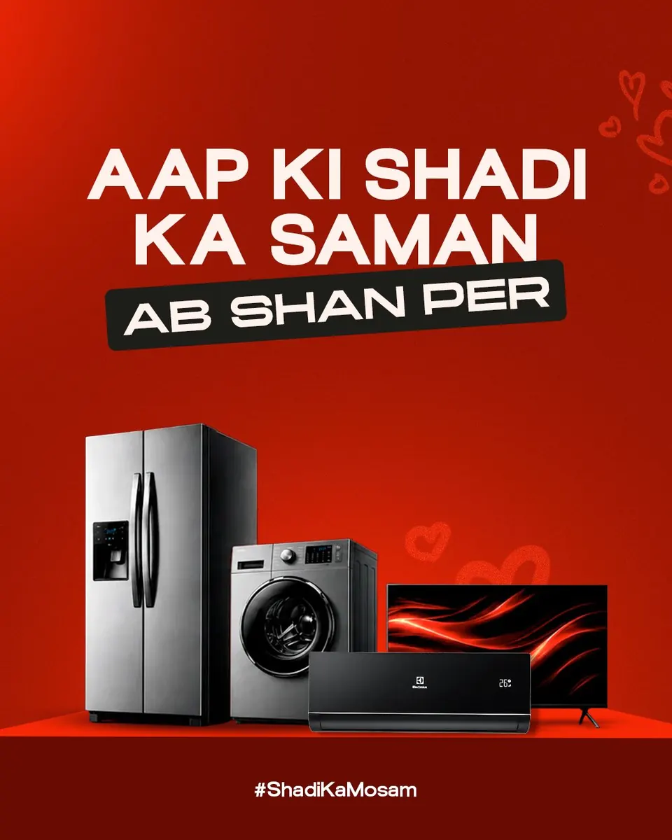 Shan Electronics work 26